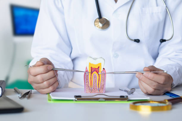 Best Emergency Treatment for Dental Infections or Abscesses in Clifton, TN